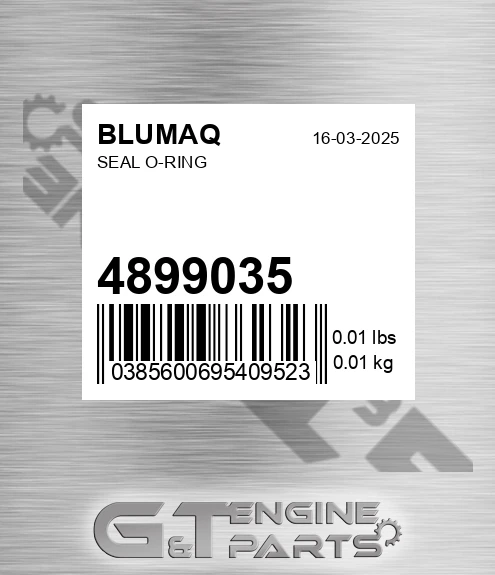 4899035 BLUMAQ Seal O-ring