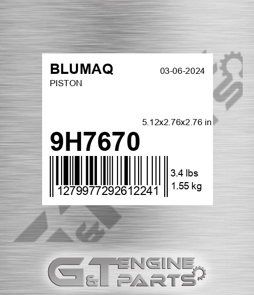 9H-7670 Piston for BLUMAQ