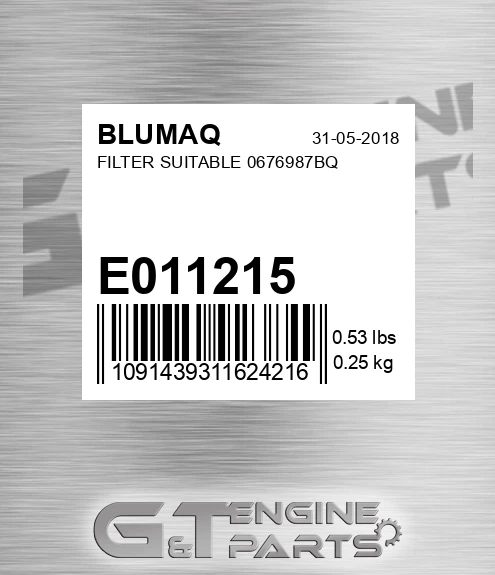 E011215 BLUMAQ Filter Suitable 0676987bq