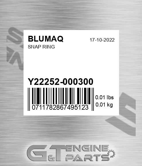 Y22252-000300 Snap Ring