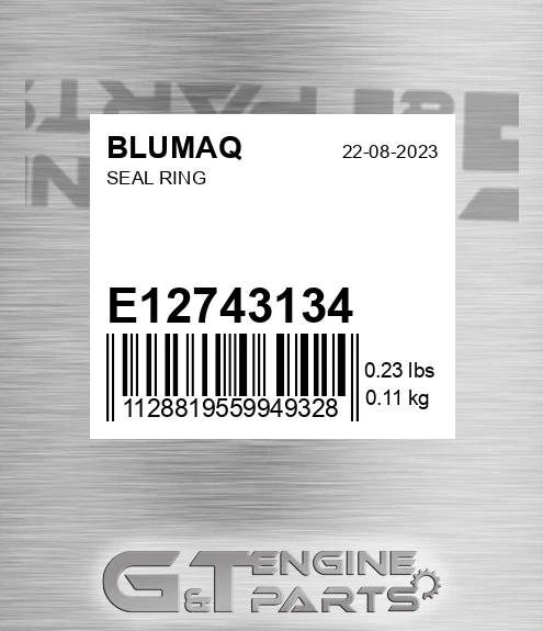 E12743134 Seal Ring