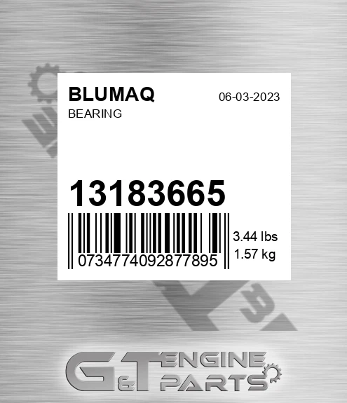 13183665 Bearing for BLUMAQ