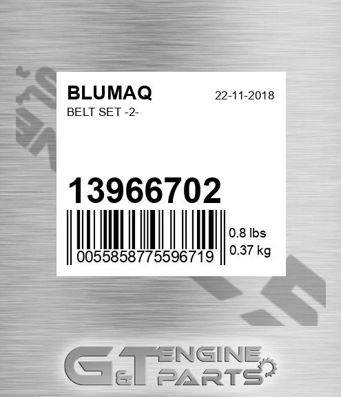 13966702 Belt Set -2- for BLUMAQ