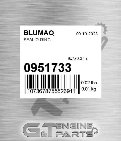 095-1733 Seal O-ring for BLUMAQ