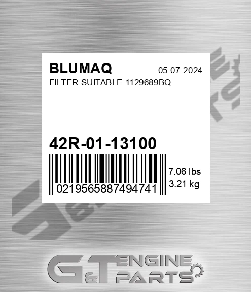 42R-01-13100 Filter Suitable 1129689bq for BLUMAQ
