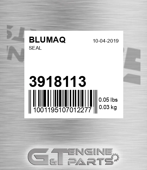 3918113 Seal for BLUMAQ