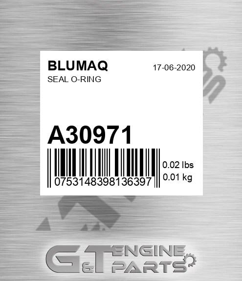 A30971 Seal O-ring