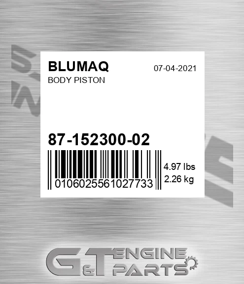 87-152300-02 Body Piston