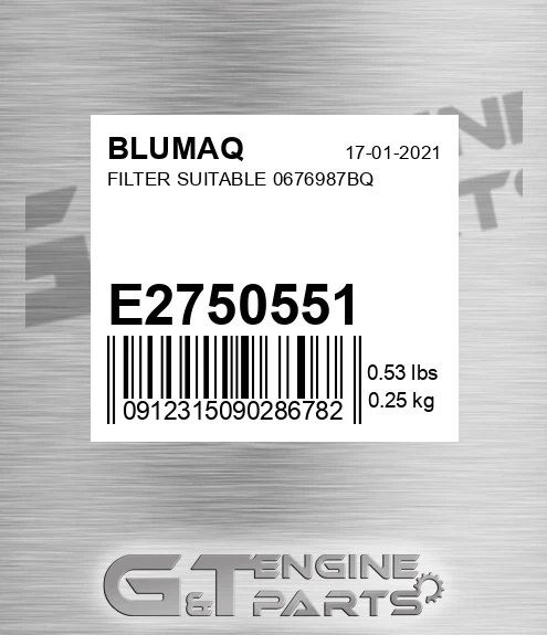 E2750551 BLUMAQ Filter Suitable 0676987bq