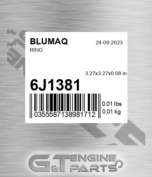 6J-1381 Ring for BLUMAQ