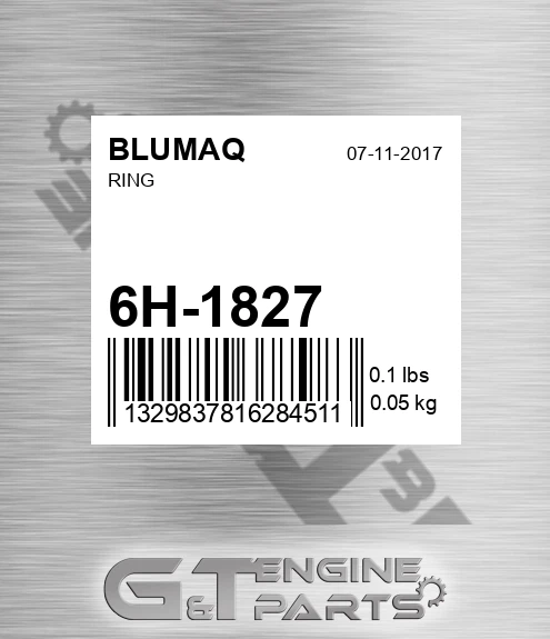 6H-1827 Ring for BLUMAQ