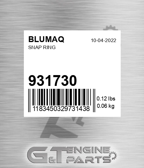 931730 Snap Ring