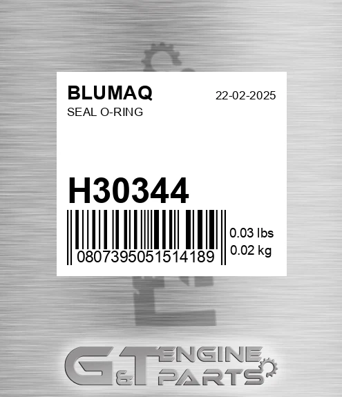 H30344 BLUMAQ Seal O-ring
