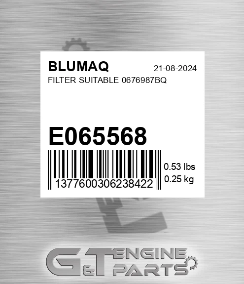E065568 Filter Suitable 0676987bq