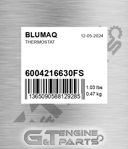 600-421-6630FS Thermostat for BLUMAQ