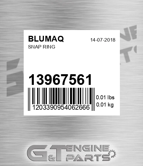 13967561 BLUMAQ Snap Ring