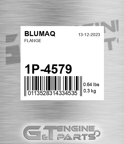 1P-4579 Flange