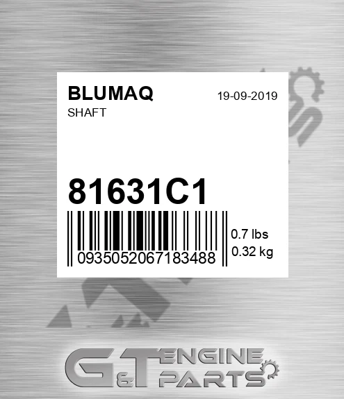 81631C1 Shaft for BLUMAQ