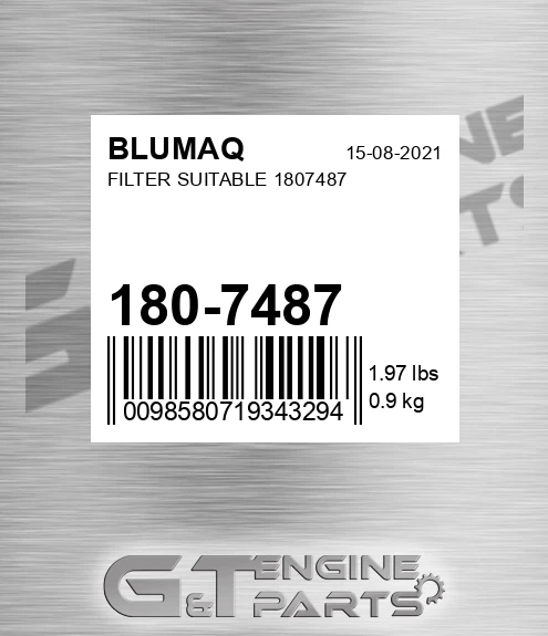 180-7487 Filter Suitable 1807487 for BLUMAQ