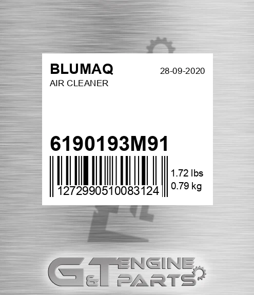 6190193M91 Air Cleaner