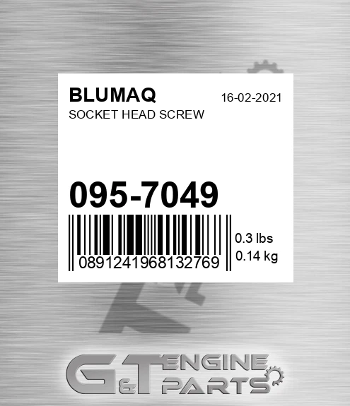 095-7049 Socket Head Screw for BLUMAQ