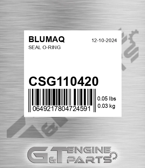CSG110420 Seal O-ring