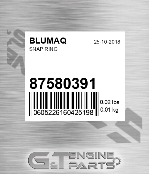 87580391 Snap Ring