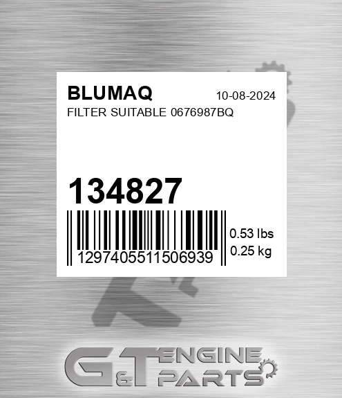 134827 BLUMAQ Filter Suitable 0676987bq
