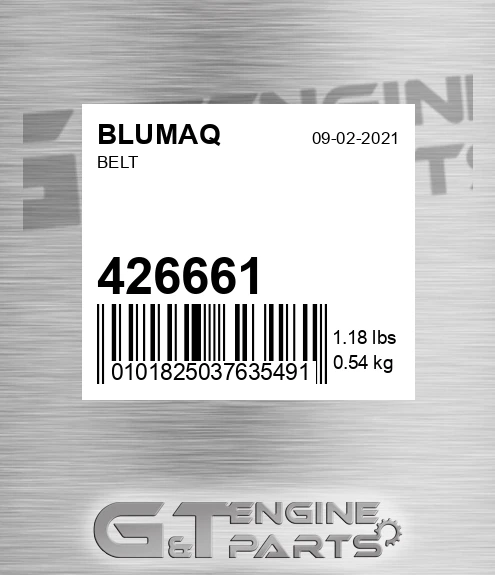 426661 Belt for BLUMAQ