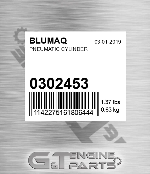 030.2453 Pneumatic Cylinder for BLUMAQ