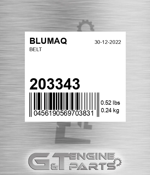 203.343 Belt for BLUMAQ