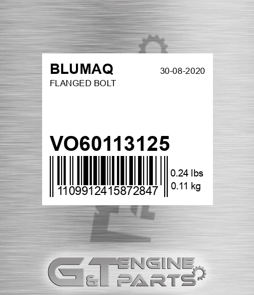 VO60113125 Flanged Bolt for BLUMAQ