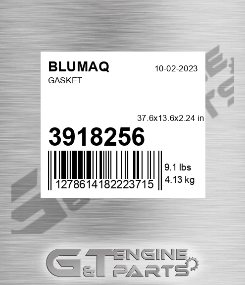 3918256 BLUMAQ Gasket