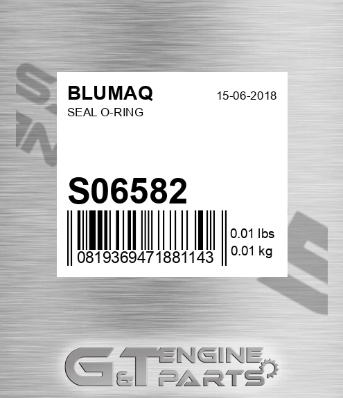 S06582 BLUMAQ Seal O-ring