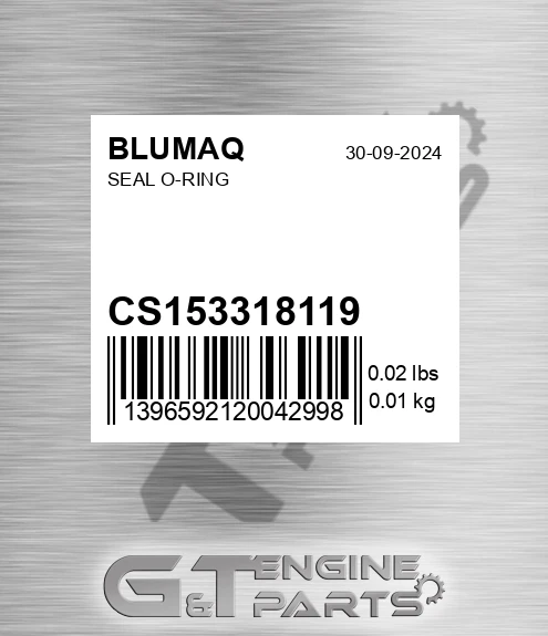 CS153318119 BLUMAQ Seal O-ring