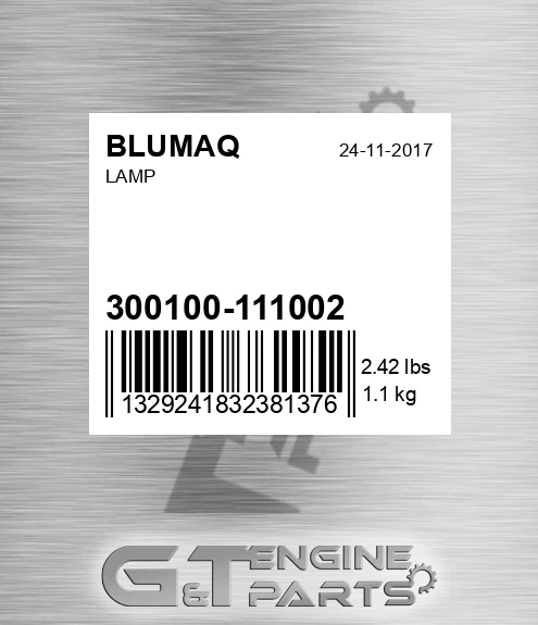 300100-111002 Lamp for BLUMAQ