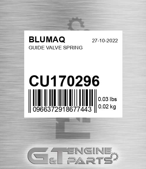 CU170296 Guide Valve Spring