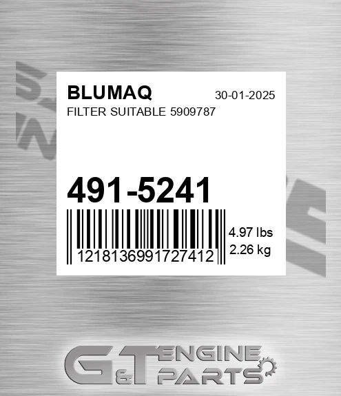 491-5241 Filter Suitable 5909787 for BLUMAQ
