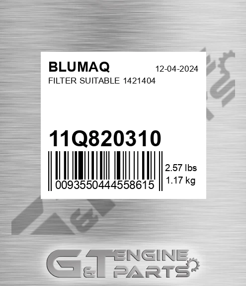 11Q820310 Filter Suitable 1421404 for BLUMAQ