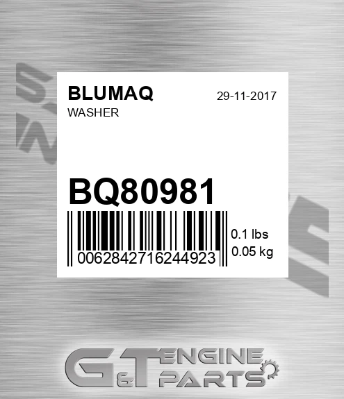 BQ80981 Washer for BLUMAQ