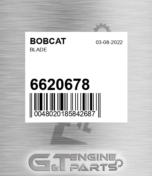 6620678 Blade