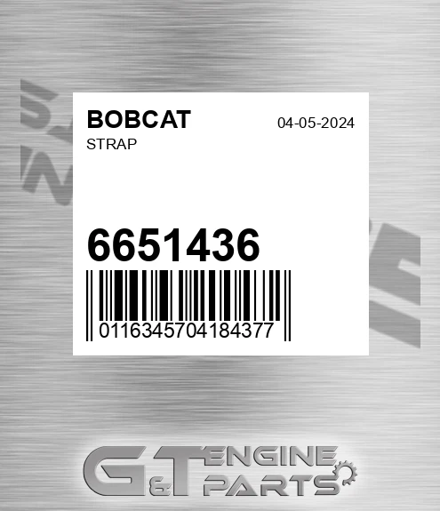 6651436 BOBCAT Strap