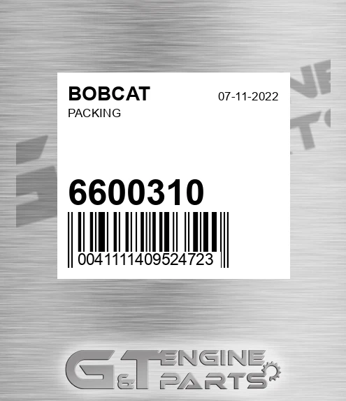6600310 Packing