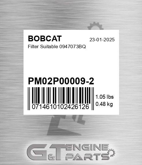PM02P00009-2 Filter Suitable 0947073bq