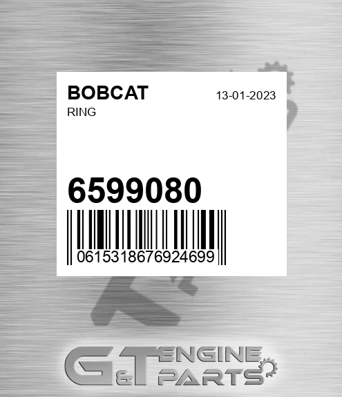 6599080 Ring