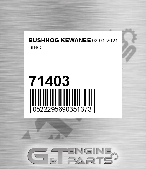 71403 Ring