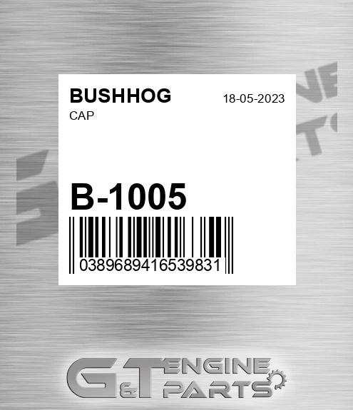 B-1005 Cap