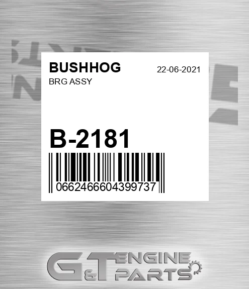 B-2181 Brg Assy