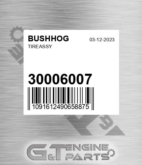 30006007 Tireassy