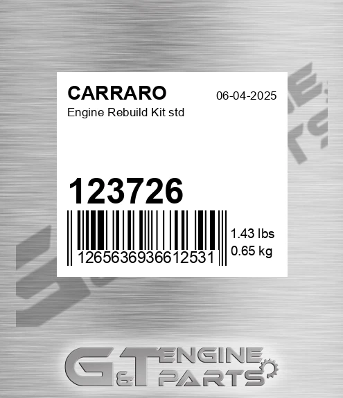 123726 Engine Rebuild Kit Std